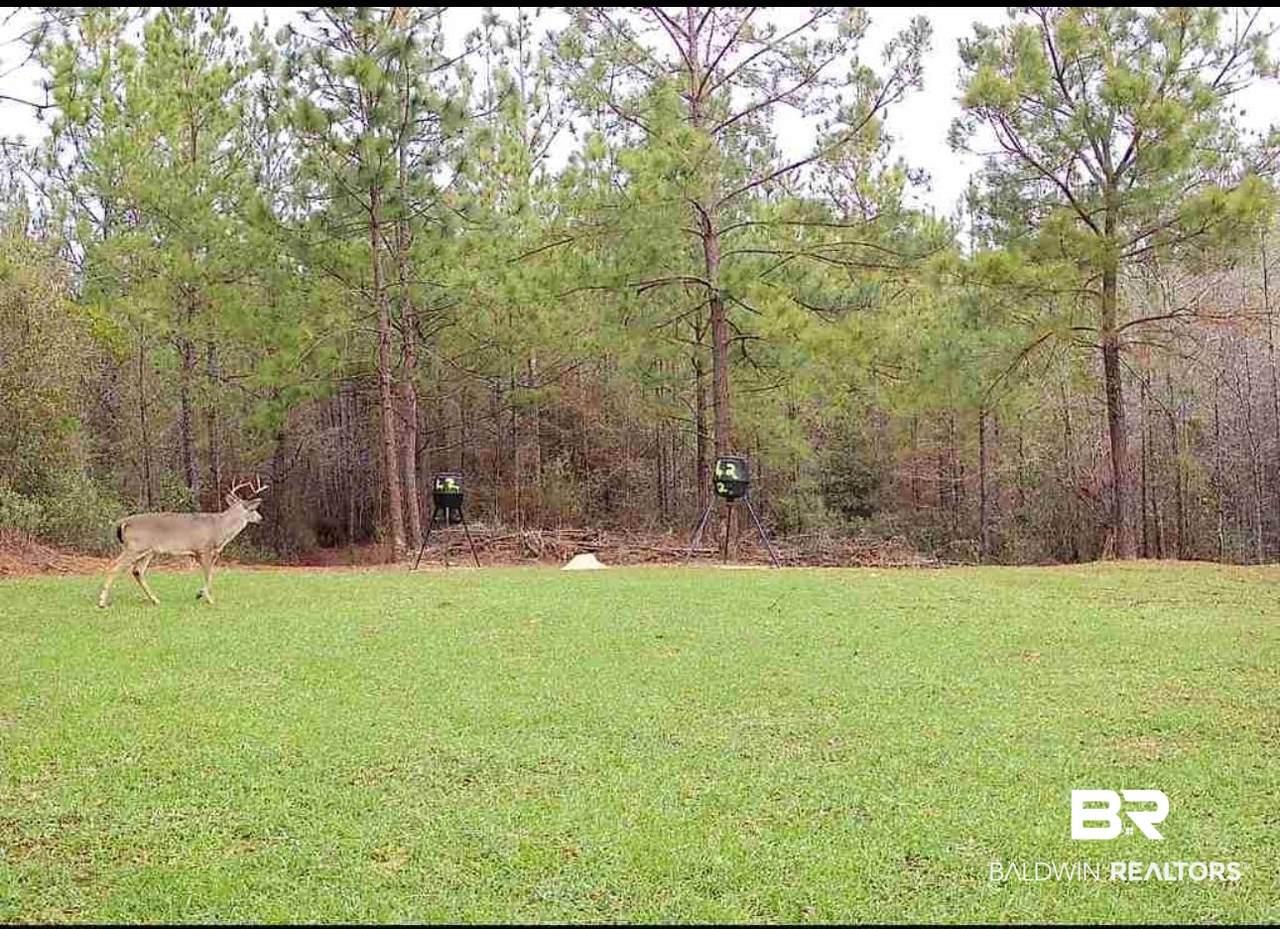 58979 Jack Springs Road - Photo 1