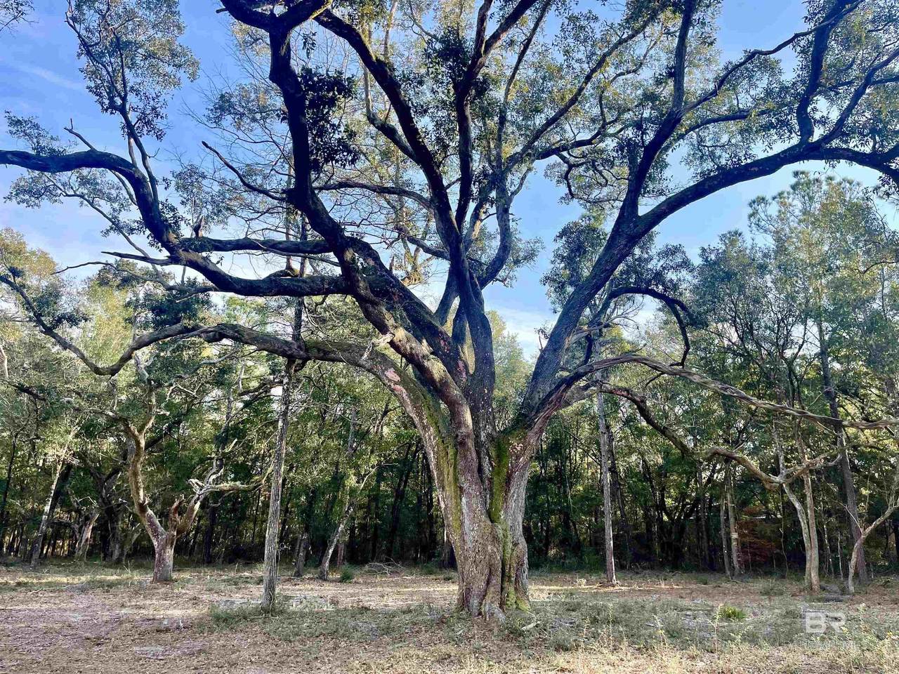 0 Bay Road - Photo 1