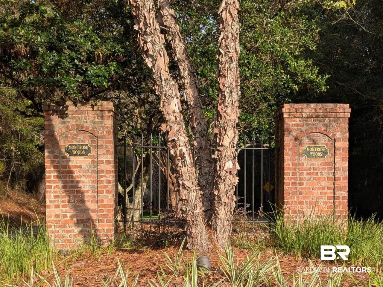 0 Montrose Woods Drive - Photo 1