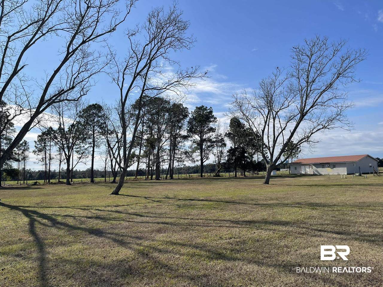 11271 John Bloch Road - Photo 1