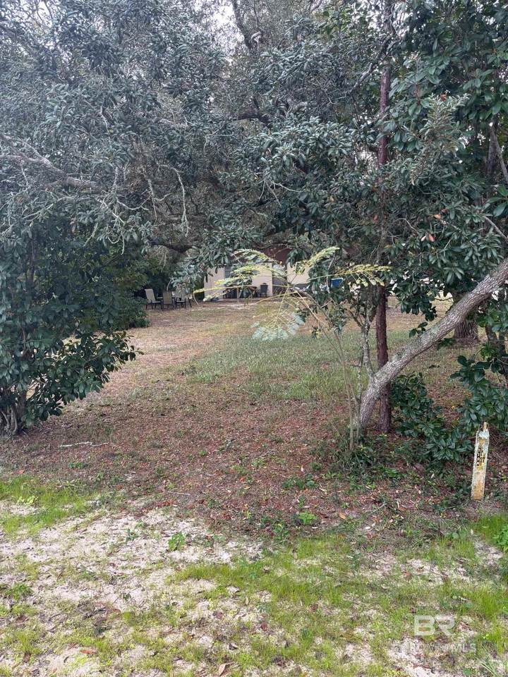 5740 Louisiana Street - Photo 1