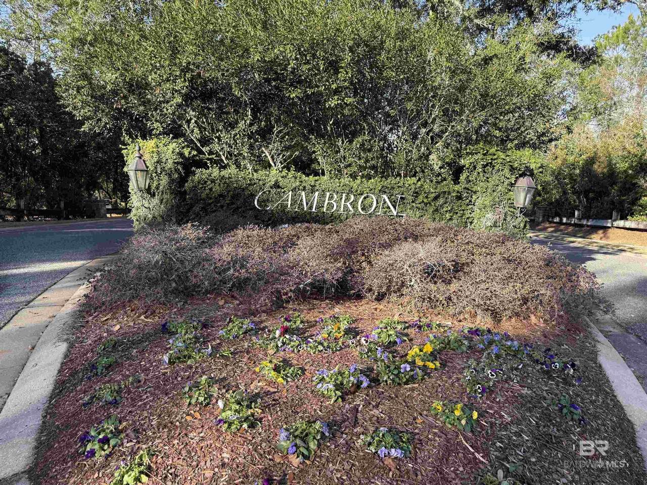 32788 Wildflower Trail - Photo 1