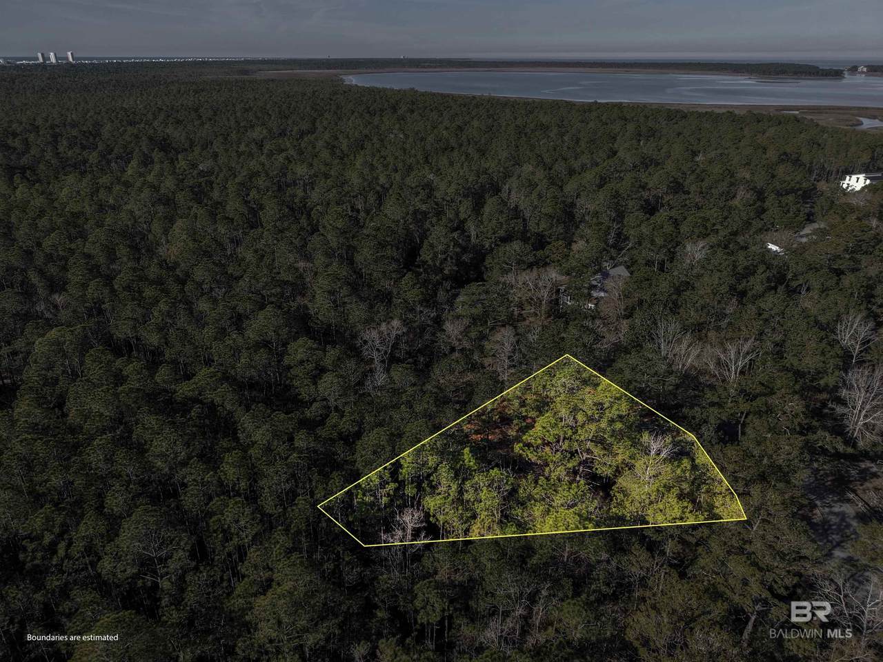 805 Mossy Oak Drive - Photo 1