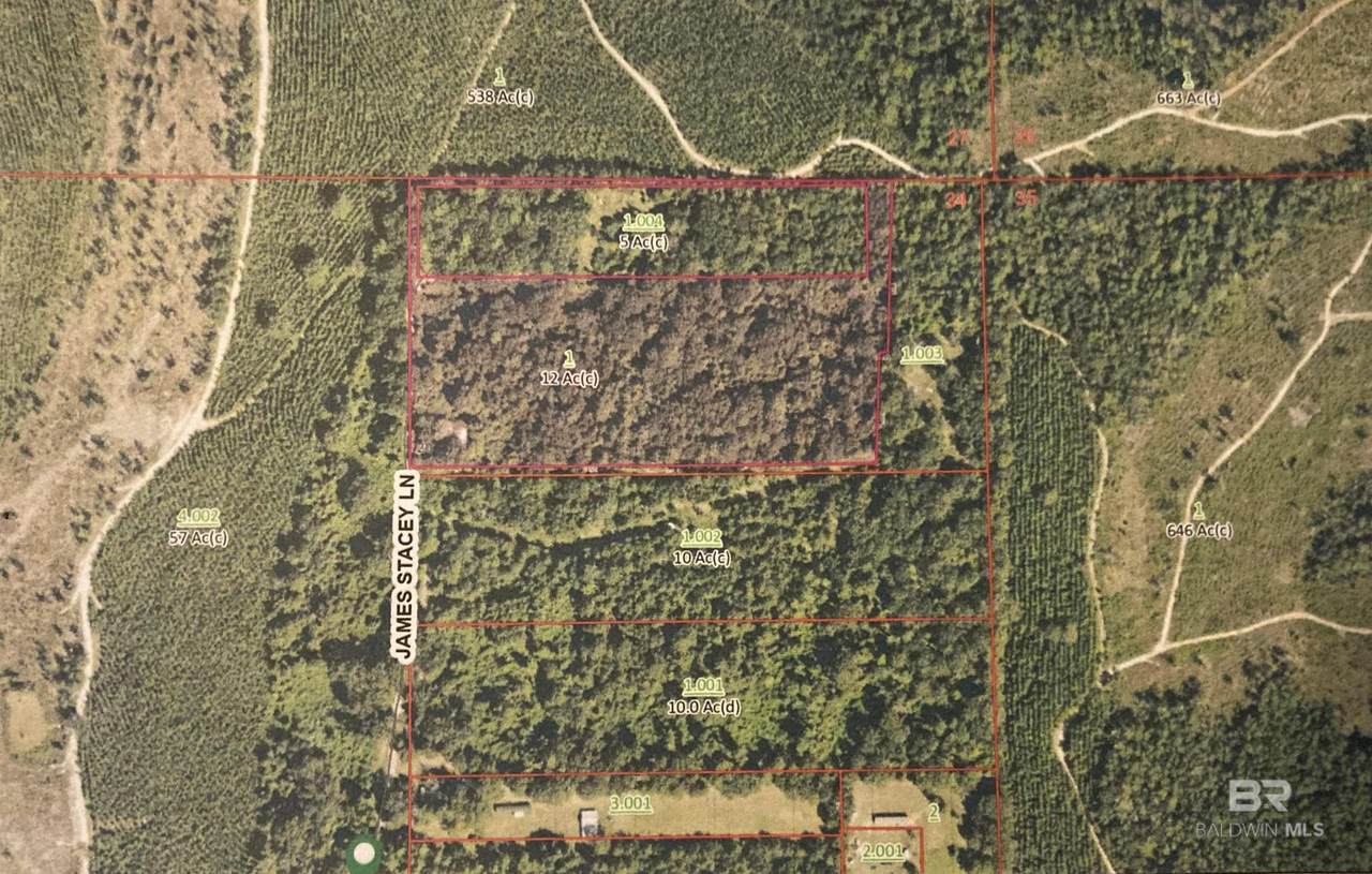 35900 James Stacey Lane - Photo 1