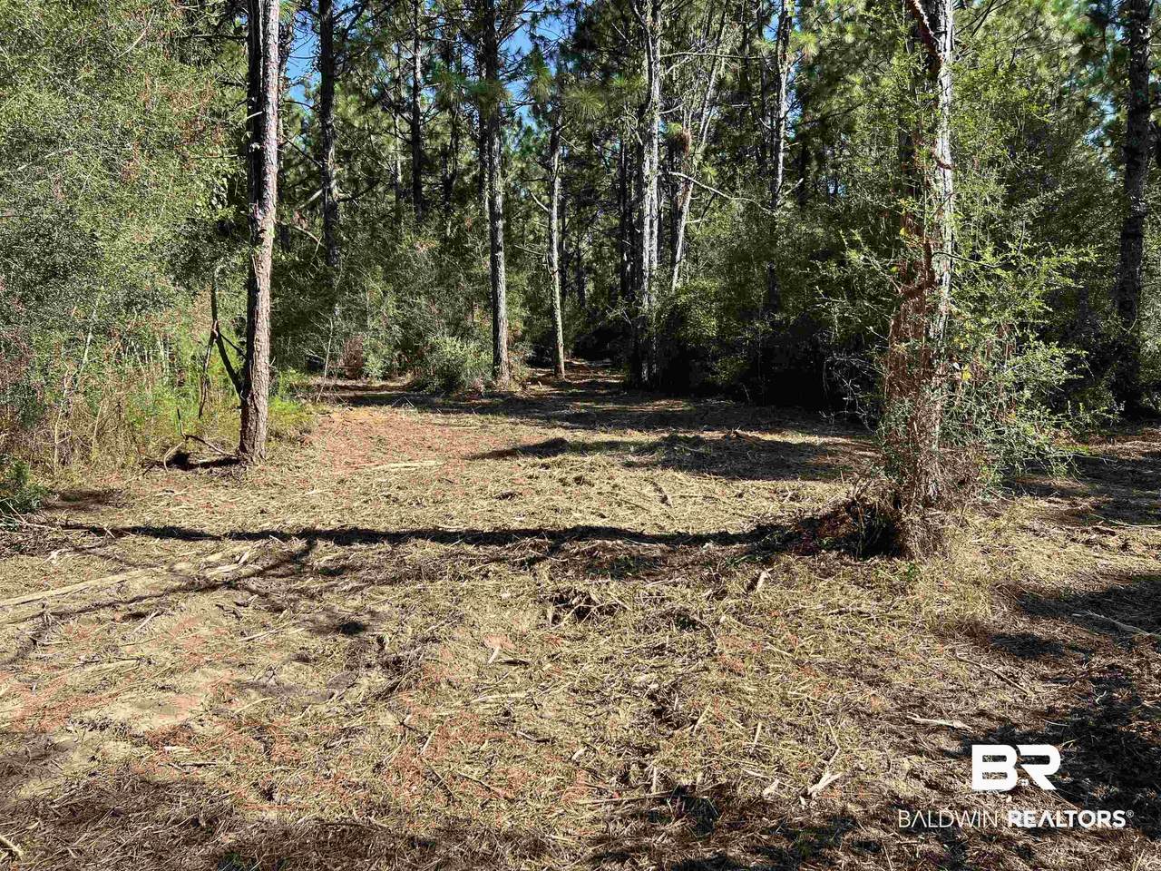 0 Barnhill Farm Road - Photo 1