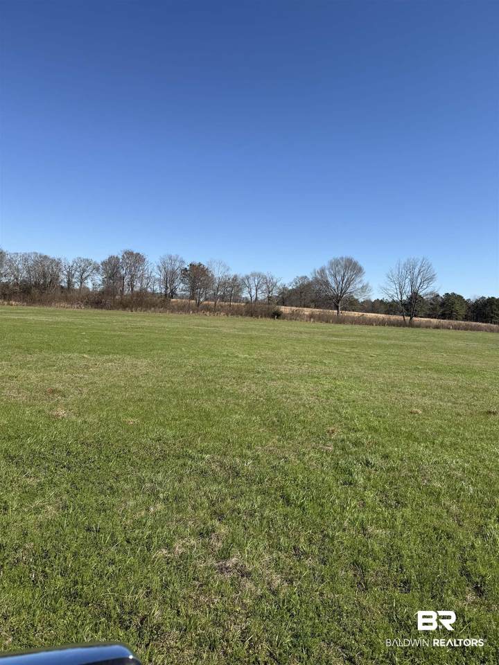 325 Honoraville Road - Photo 1