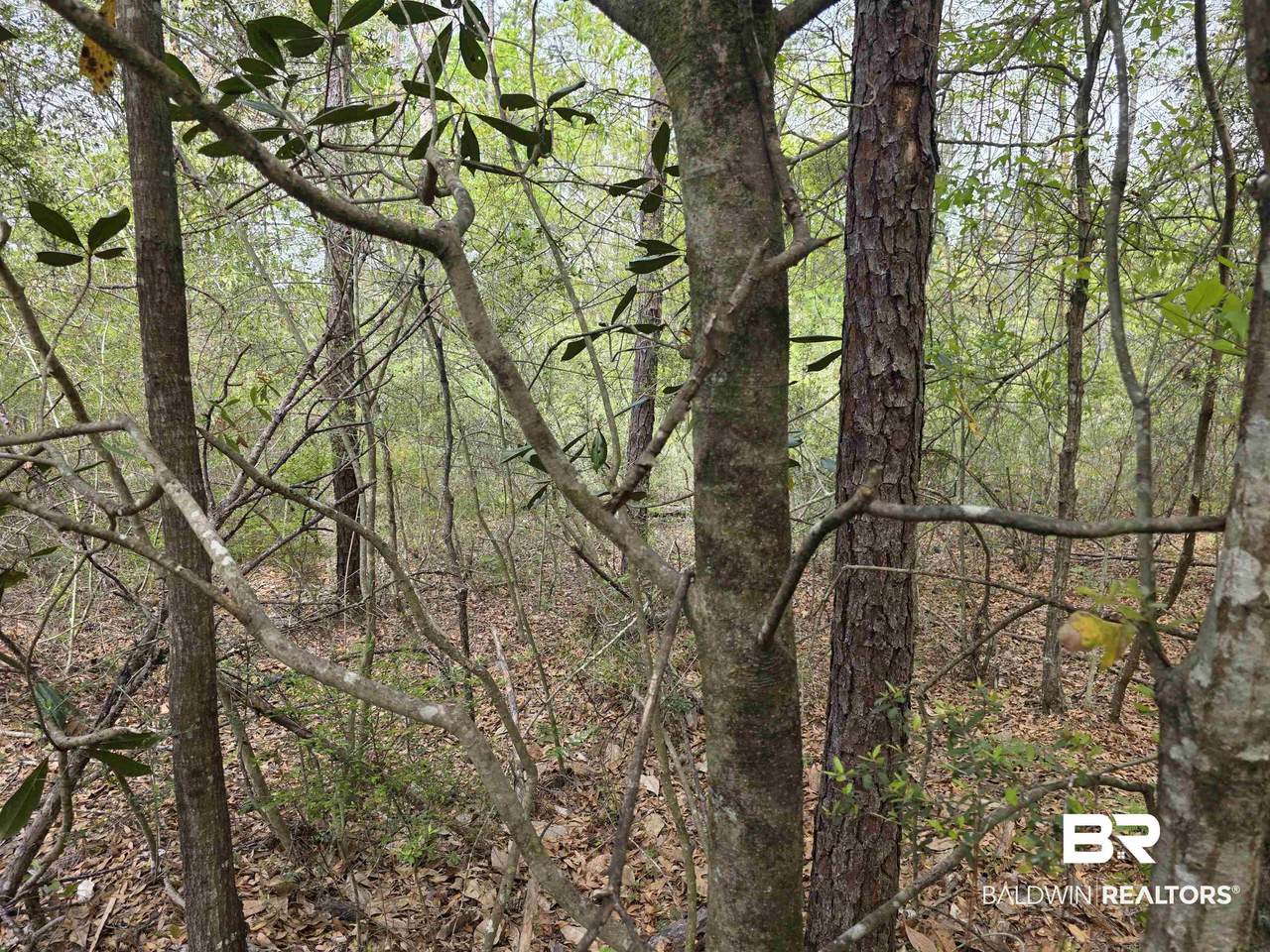 12287 Red Hill Rd Extension - Photo 1