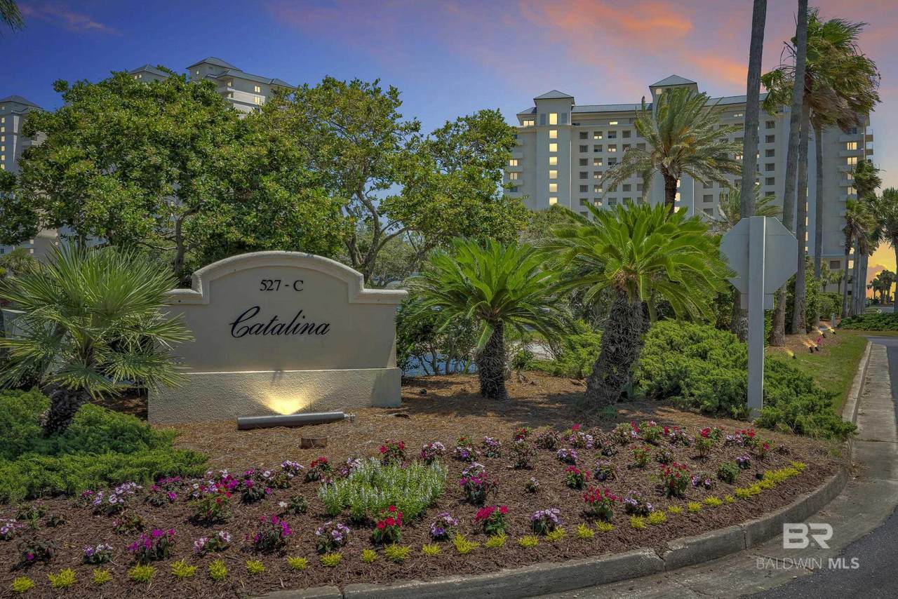527 Beach Club Trail - Photo 1