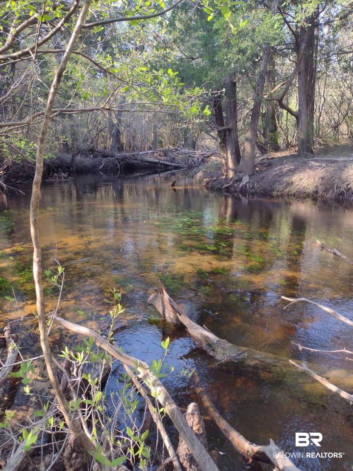 0 Phillipsville Road - Photo 1