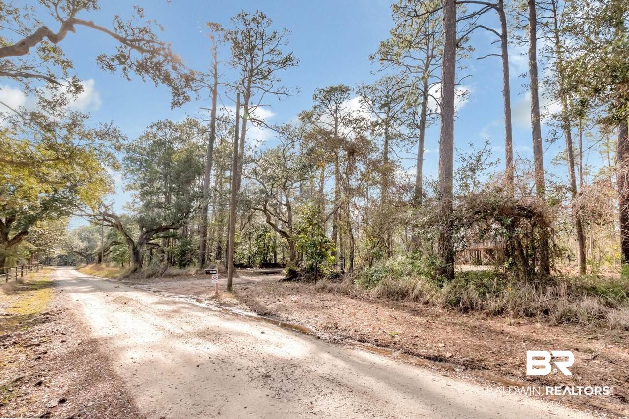 5250 Lossing Road - Photo 1