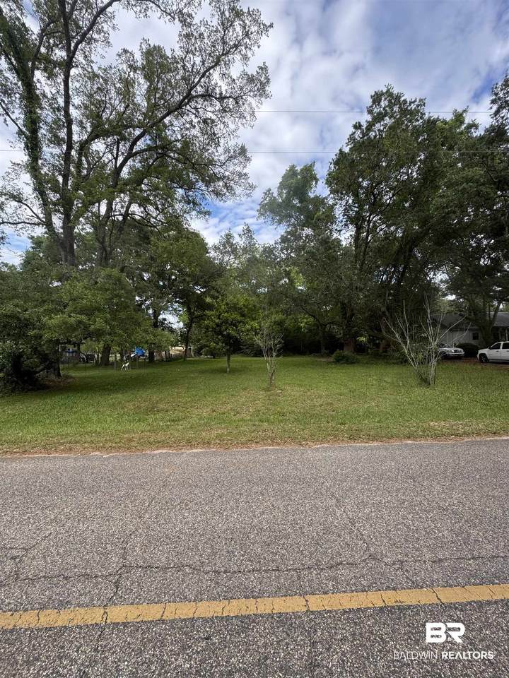 0 John Hall Lane - Photo 1