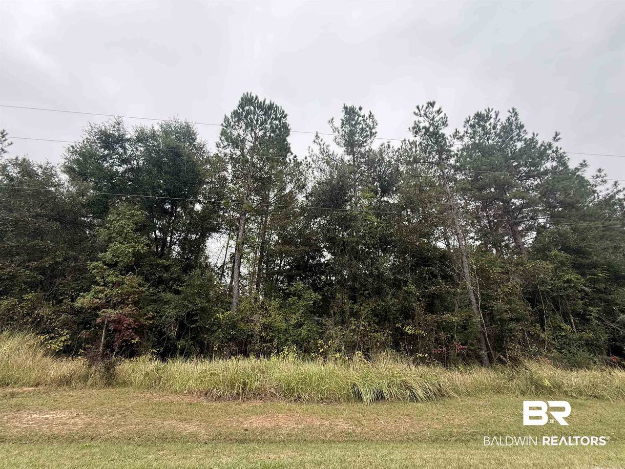 36636 Legacy Way - Photo 1
