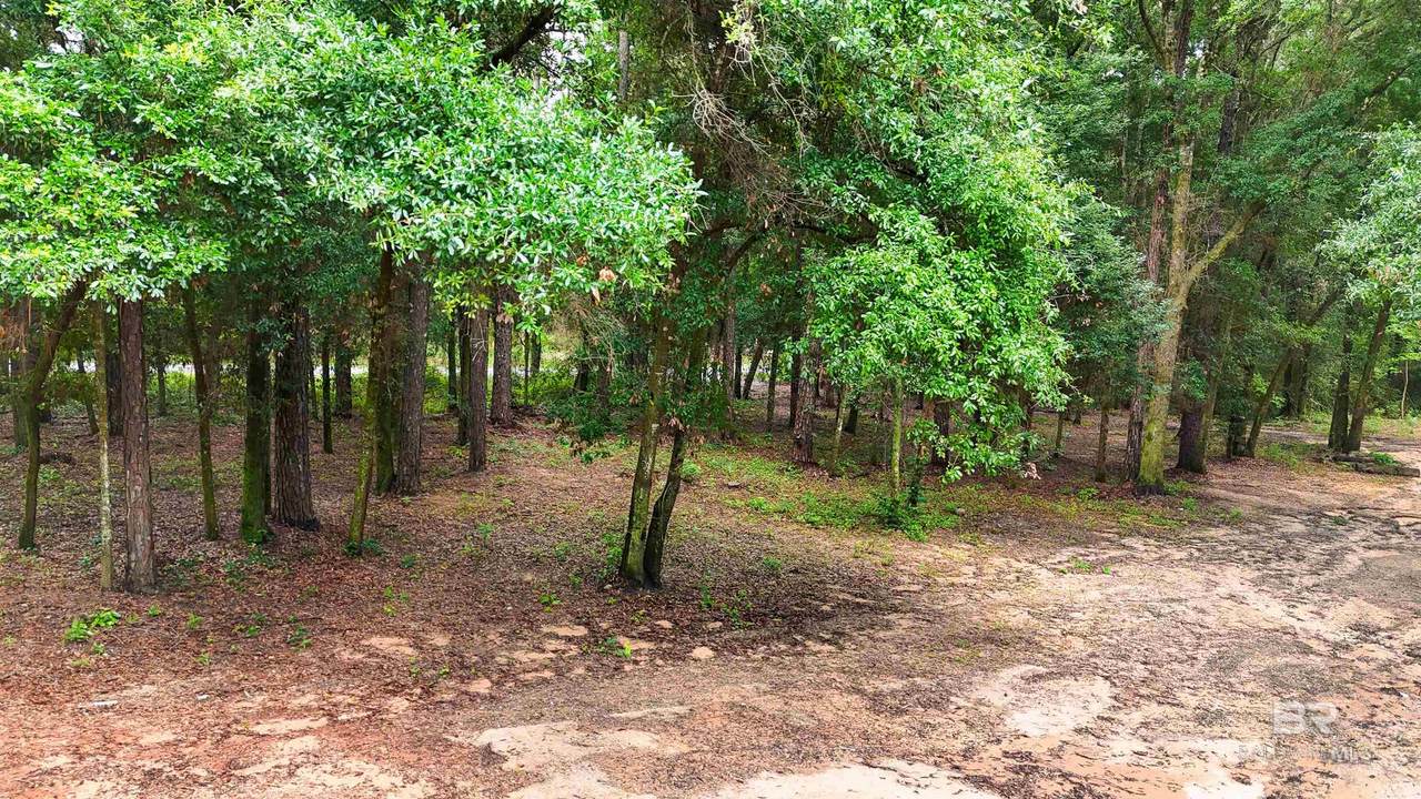 14149 Specs Lane - Photo 1
