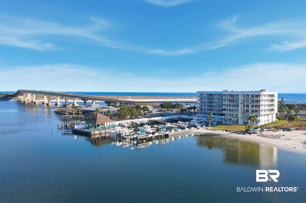 27501 Perdido Beach - Photo 1