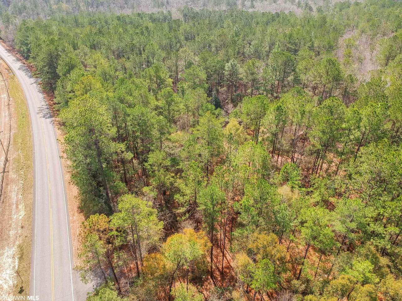 0 St Hwy 59 - Photo 1