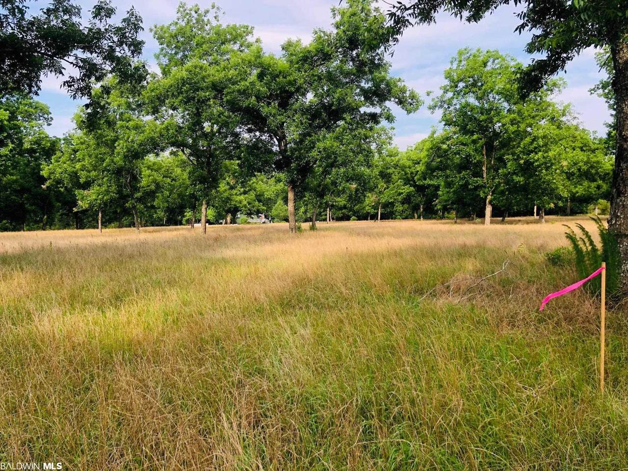 0 Nancy Loop - Photo 1