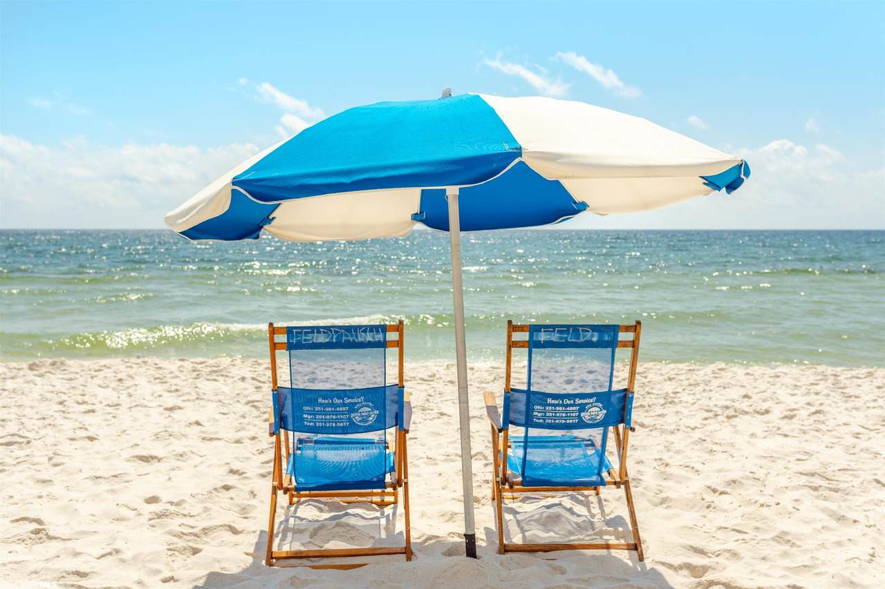 24522 Perdido Beach Blvd - Photo 1