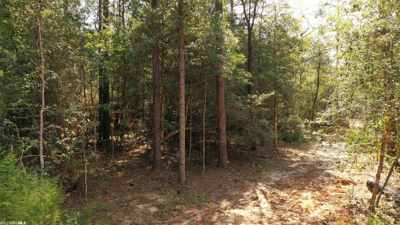 1 Brookwood Drive - Photo 1