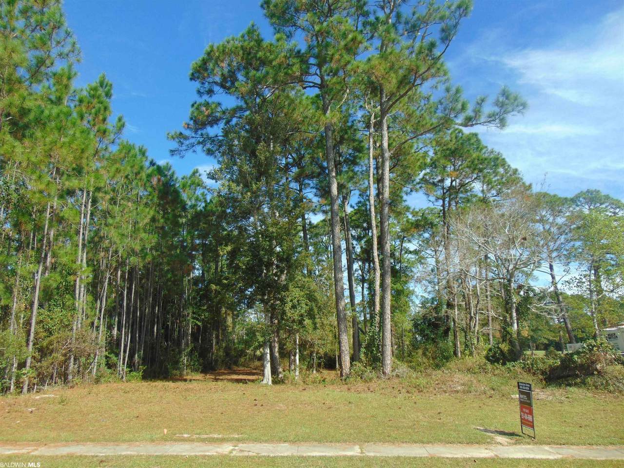 0 Fairway Drive - Photo 1
