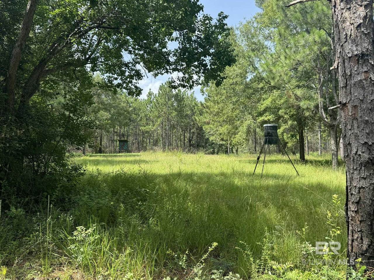 0 Nokomis Road - Photo 1