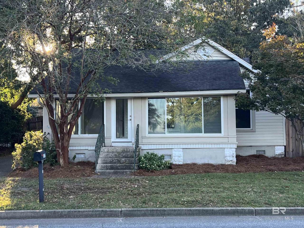 217 Mobile Street - Photo 1
