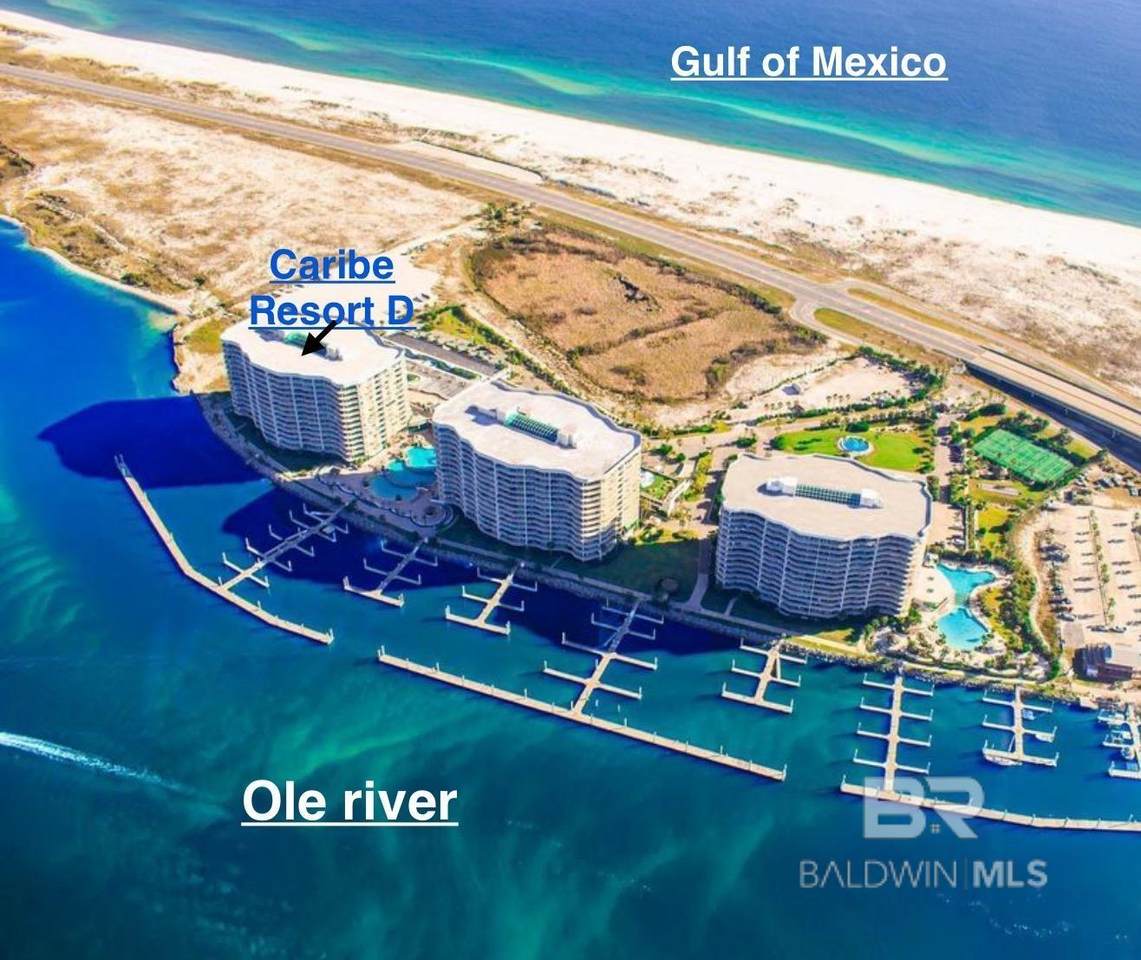 28107 Perdido Beach Boulevard - Photo 1