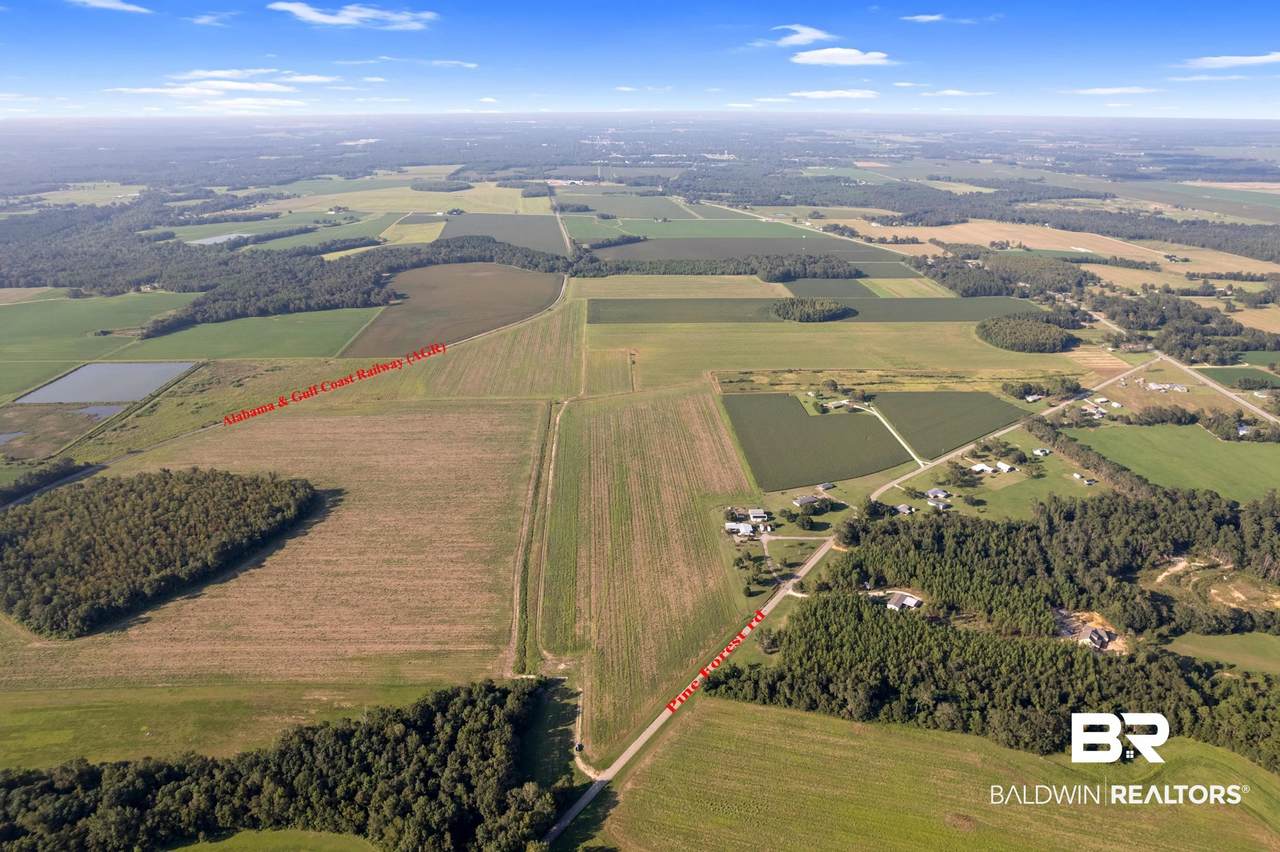 5700 Block Pine Forest Road - Photo 1