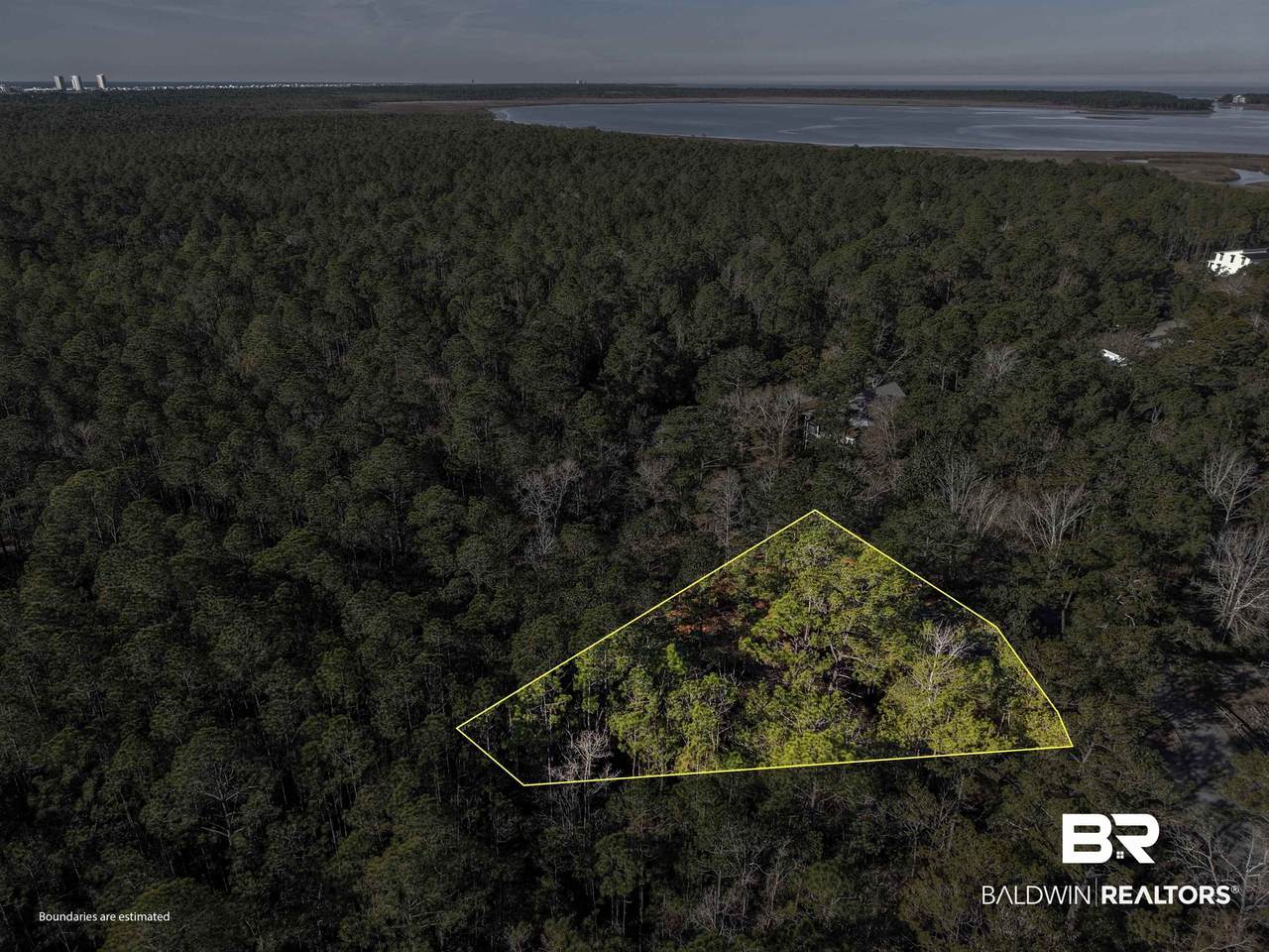 805 Mossy Oak Drive - Photo 1
