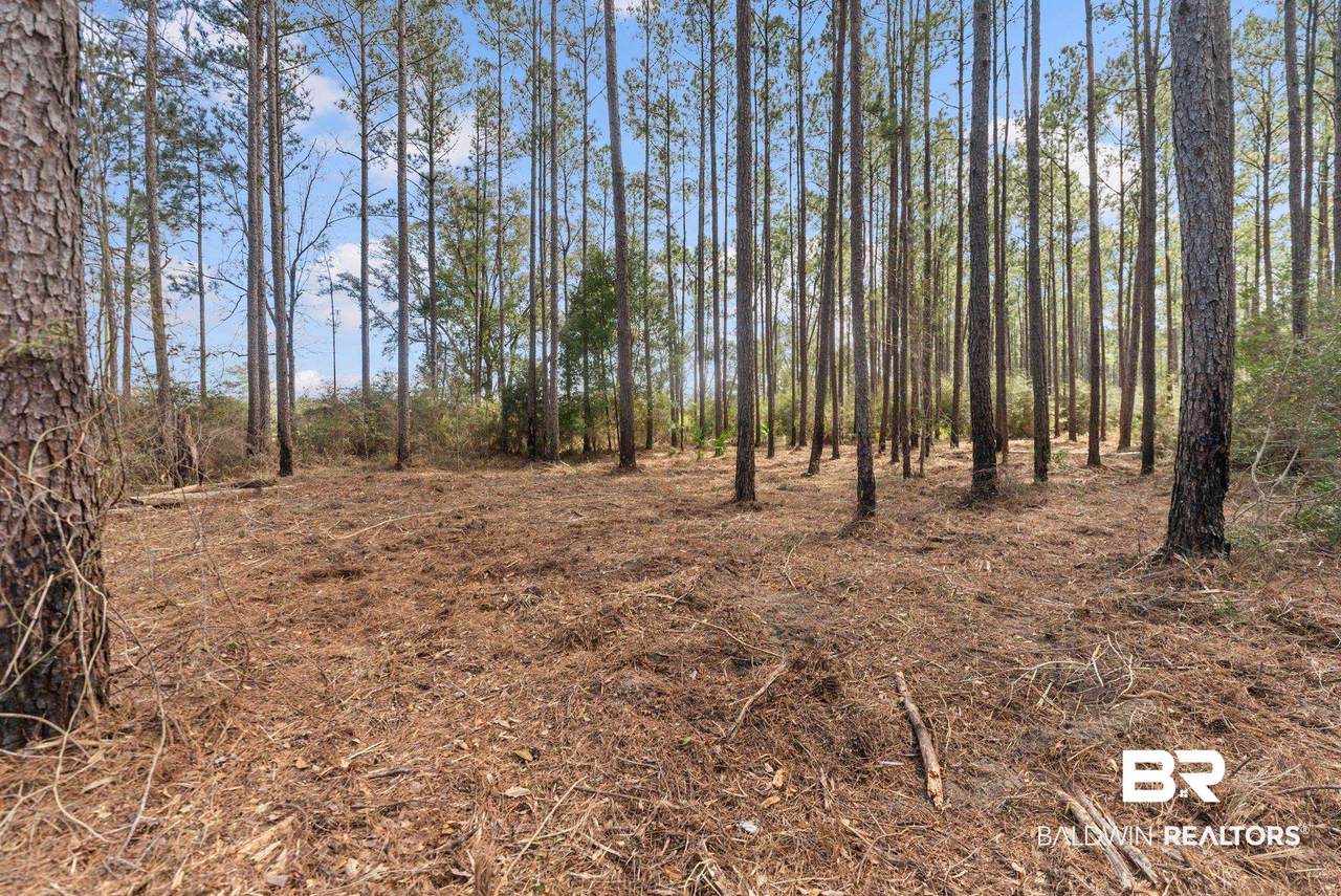 Lot #10 Bermuda Lane - Photo 1