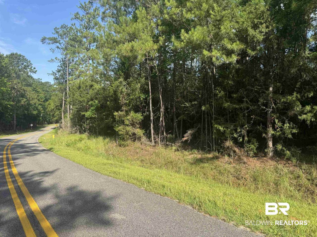 9050 Rice Creek Road - Photo 1