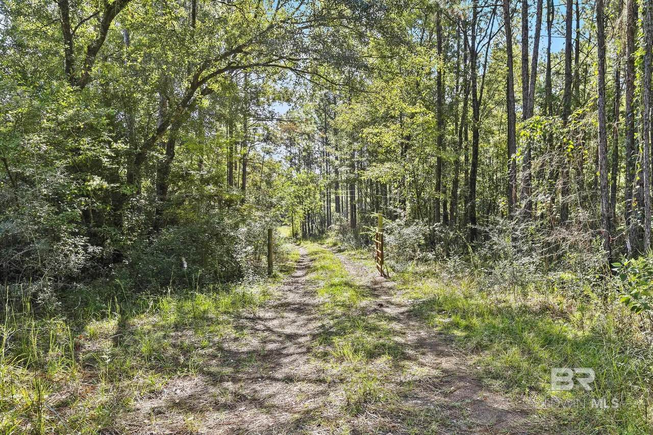 0 Nokomis Road - Photo 1