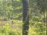 0 Bear Fork Road - Photo 2