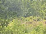 0 Bear Fork Road - Photo 4