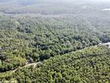 0 Bear Fork Road - Photo 11