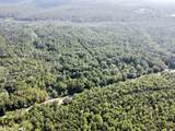 0 Bear Fork Road - Photo 12