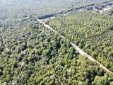 0 Bear Fork Road - Photo 13