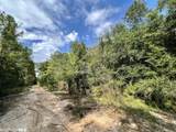 0 Bear Fork Road - Photo 17