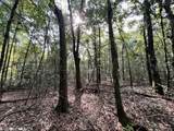 0 Bear Fork Road - Photo 23