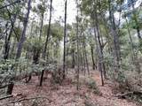 0 Bear Fork Road - Photo 30