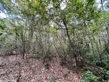 0 Bear Fork Road - Photo 33