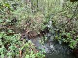 0 Bear Fork Road - Photo 36