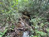 0 Bear Fork Road - Photo 37