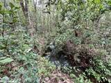 0 Bear Fork Road - Photo 38