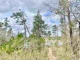 0 Lake Juniper Road - Photo 2