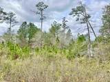 0 Lake Juniper Road - Photo 3