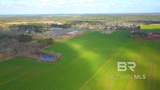 25750 County Road 54 - Photo 6