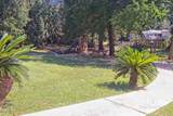 42 Buena Vista Drive - Photo 33