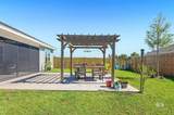 22310 Early Dawn Circle - Photo 44