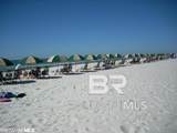 527 Beach Club Trail - Photo 41