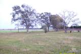 10280 Hartung Road - Photo 5